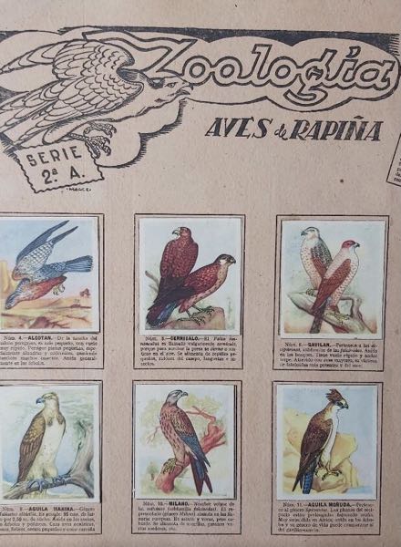 Colección Enciclopedia Cultural de Chiquititto. Serie 2. Zoología de Revista Chicos en ACABARAMOS.COM